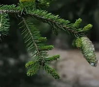 c1212是什么-爱游戏娱乐